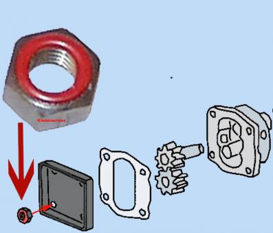 Special nut with gasket for oil pump cover 
